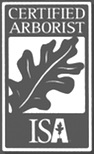 logo-isa logo-isa